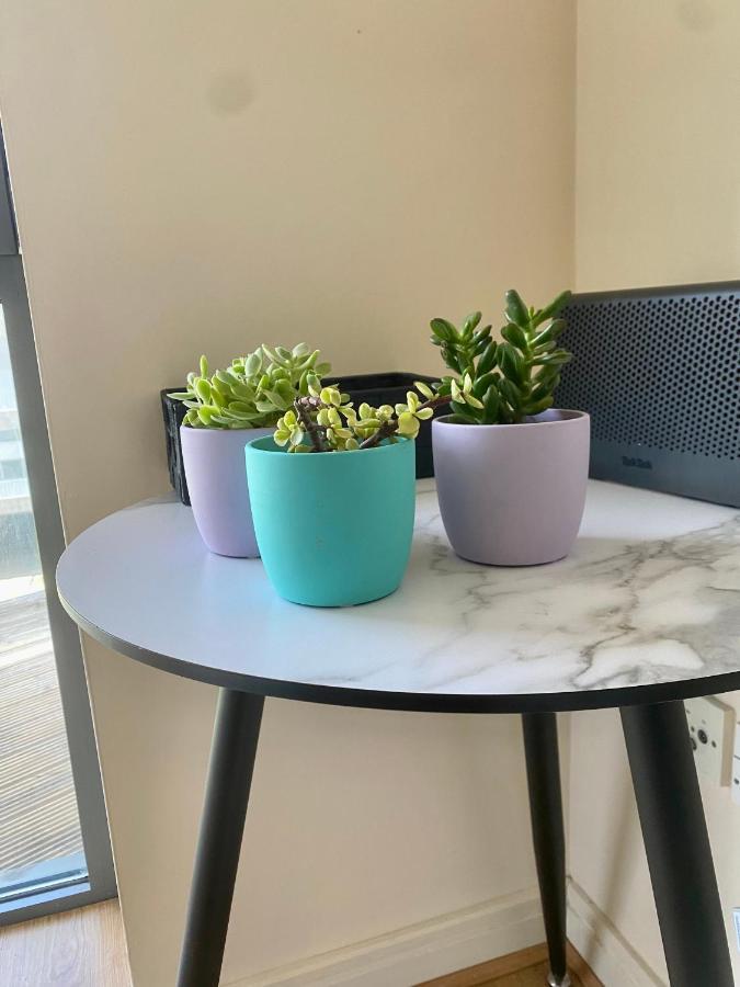 Holliday Street Apartments - One Bedroom - Stunning Balcony Birmingham Ngoại thất bức ảnh